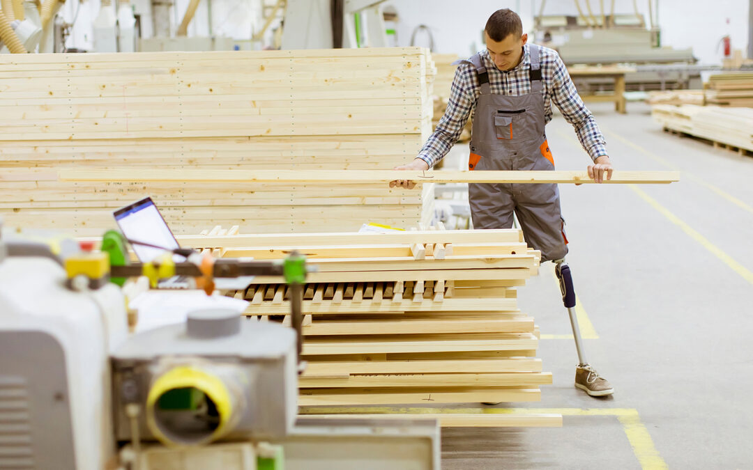 Work IN, proyecto de inclusión laboral